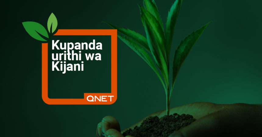 Planting Green Legacy QNET EcoMatcher SW
