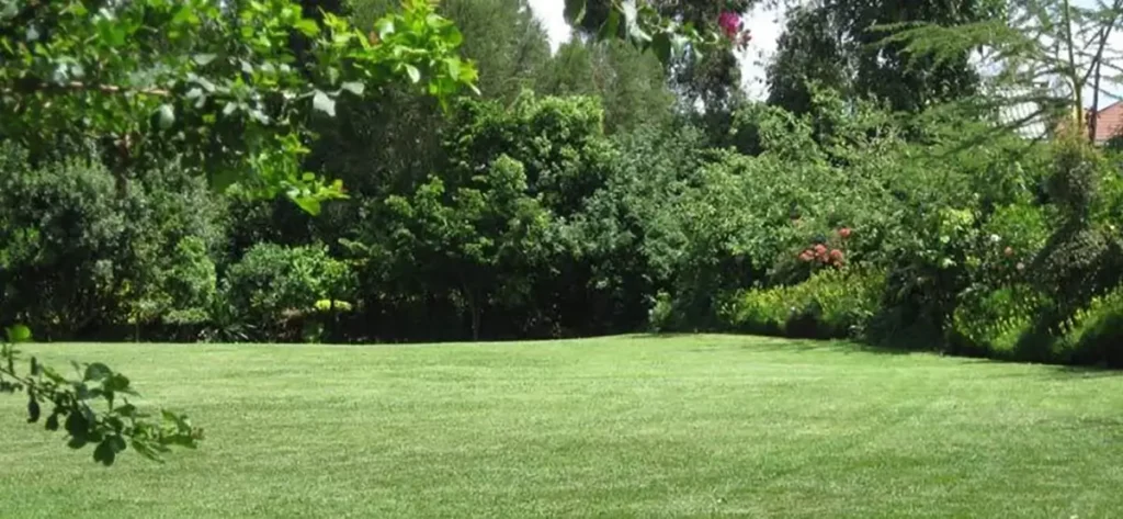 Langata Botanical Gardens, Kenya