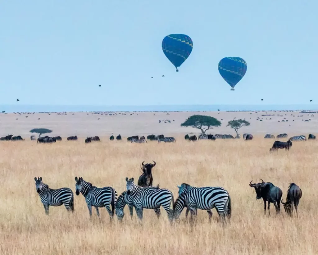 The Maasai Mara National Reserve, Kenya